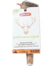 ZOLUX Corno di cervo intero Hard XS snack naturale per cani