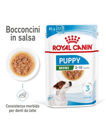 ROYAL CANIN Mini puppy 24 x 85g cibo umido in salsa per cuccioli fino a 10 mesi, razze piccole