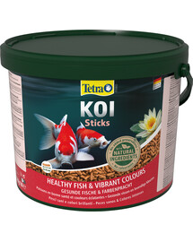 TETRA Pond KOI Sticks 10l Mangime completo per carpe koi