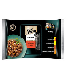 SHEBA Selection Juicy Flavours 4x85g Alimento umido completo per gatti adulti bocconcini in salsa con pollo e manzo, pollo, agnello, anatra e tacchino