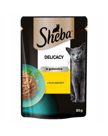 SHEBA Delicacy in bustina 85g Alimento umido completo per gatti adulti bocconcini di pollo in gelatina
