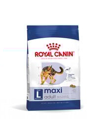ROYAL CANIN Maxi Adult 15 kg cibo secco per cani adulti fino a 5 anni di età, razze grandi