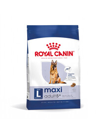 ROYAL CANIN Maxi Adult 5+ 15 kg cibo secco per cani maturi, da 5 a 8 anni di età, di razza grande
