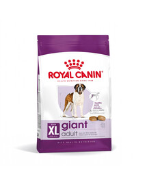 ROYAL CANIN Giant Adult 15kg cibo secco per cani adulti, dai 18/24 mesi di età, razze grandi
