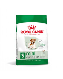 ROYAL CANIN Mini Adult 12+ 800 g cibo secco per cani maturi di età superiore a 12 anni, razze di piccola taglia