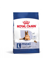 ROYAL CANIN Maxi Ageing 8+ 15 kg cibo secco per cani maturi di età superiore agli 8 anni, razze di taglia grande