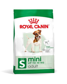 ROYAL CANIN Mini Adult 2kg cibo secco per cani adulti, razze piccole