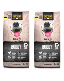 BELCANDO Baseline Buddy 2 x 12,5kg