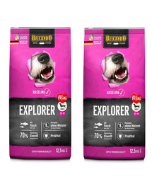BELCANDO Baseline Explorer 2 x 12,5kg