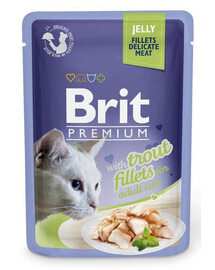 BRIT Premium Cat  Fillets in Jelly cibo umido con trota per gatti 24x85 g