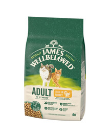 JAMES WELLBELOVED Adult 4 kg Alimento secco completo per gatti adulti da 1 a 7 anni ricco di tacchino