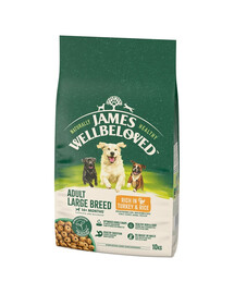 JAMES WELLBELOVED Adult 10 kg alimento secco completo per cani adulti di taglia grande >14 mesi - 10 anni ricco di tacchino e riso