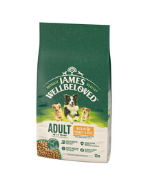 JAMES WELLBELOVED Adult 12 kg alimento secco completo per cani adulti da 1 a 7 anni ricco di tacchino e riso