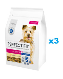 PERFECT FIT Adult 1+ Alimento secco completo ricco di pollo per cani adulti di razza piccola 3x2,6 kg