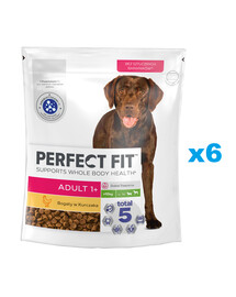 PERFECT FIT Adult 1+ Alimento secco completo ricco di pollo per cani adulti di razza grande 6x825g