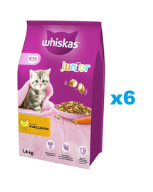 WHISKAS Junior 6x1,4kg alimento secco completo con pollo per gattini