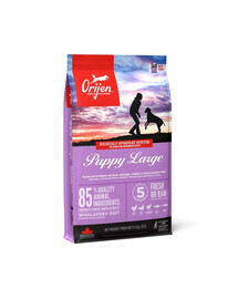 ORIJEN Puppy Large 11.4kg