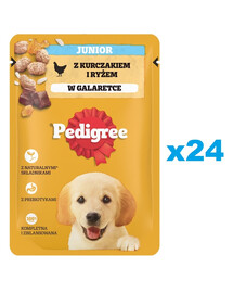 PEDIGREE Junior saszetka 24x100 g mokra karma pełnoporcjowa dla szczeniąt, kawałki bogate w kurczaka z ryżem, w galaretce