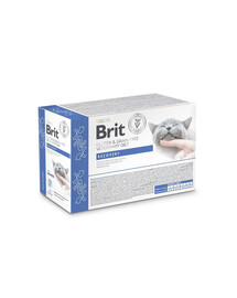 BRIT Veterinary Diet Grain Free Recovery Cat Fillets in Gravy Salmon 12x85g per gatti in fase di convalescenza