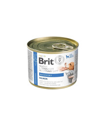 BRIT Veterinary Diet Grain Free Recovery 200 g alimento con salmone e fegato di pollo per cani e gatti in fase di recupero