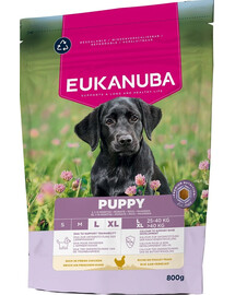 EUKANUBA Puppy Large Breeds Chicken 800 g cibo secco per cuccioli di grandi razze ricco di pollo fresco
