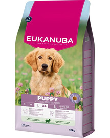 EUKANUBA Puppy Large Breeds Lamb Rice 12 kg cibo secco per cuccioli di razze grandi ricco di agnello e riso