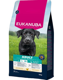 EUKANUBA Adult Large Breeds Chicken 15 kg crocchette per cani adulti di razze grandi ricche di pollo fresco