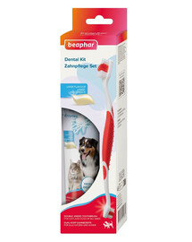 BEAPHAR Dental Kit spazzolino e dentifricio per cani e gatti