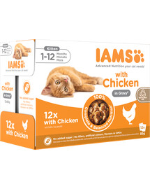IAMS Advanced Nutrition Kitten Chicken in Gravy Pouch 12x85g cibo umido in buste per gattini con pollo in salsa