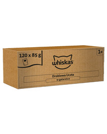 WHISKAS Adult Drobiowa Uczta 120x85 g cibo umido completo per gatti adulti in gelatina