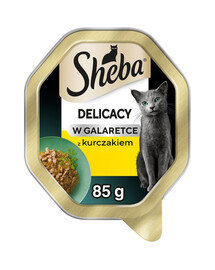 SHEBA Delicacy con pollo in gelatina 85 g cibo umido per gatti