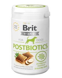 Vitamins Dog Postbiotic 150 g suplement dla psa wspierający trawienia
