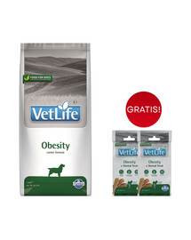 FARMINA Vet Life Obesity Dog 12 kg alimento per cani in sovrappeso + 2 x FARMINA Vet Life Dental Treat Obesity Mini 60 g (7 pezzi) GRATIS!