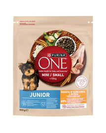 PURINA ONE Junior Mini Small Pollo con riso 800 g cibo secco per cuccioli