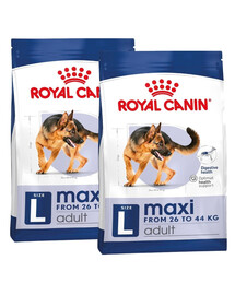 ROYAL CANIN Maxi Adult 30kg (2x15kg) cibo secco per cani adulti fino a 5 anni di età, razze grandi