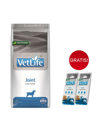 FARMINA Vet Life Dog Joint 12kg mangime per cani per articolazioni sane + 2 x FARMINA Vet Life Dental Treat Joint Medium/Maxi 100 g (7 pezzi) GRATIS!
