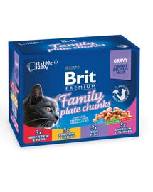 Premium Cat Zestaw Saszetek Family Plate 12x100g