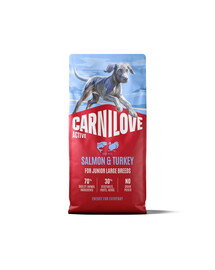 CARNILOVE Active Dog Salmon & Turkey 12 kg Junior Large Breeds salmone e tacchino, per giovani junior di razze grandi
