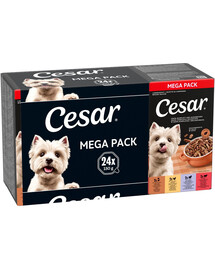 CESAR Gulasch Casalingo Mix di Sapori 24 x 150g cibo umido per cani adulti