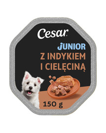 CESAR Junior con Tacchino e Vitello 150g cibo umido per cuccioli