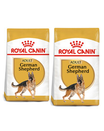 ROYAL CANIN German Shepherd Adult - croccantini per cani adulti di razza pastore tedesco 22kg (2 x 11kg)