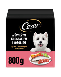 CESAR Adult con pollo e salmone 800g cibo secco per cani