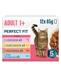 PERFECT FIT Adult 1+ Mix Sapori 12 x 85g cibo umido per gatti adulti