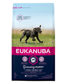 EUKANUBA Growing Puppy Large Breed Chicken 2 kg