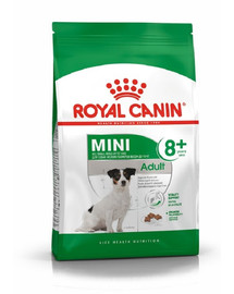 ROYAL CANIN Mini Adult +8 8 kg cibo secco per cani anziani da 8 a 12 anni di età, razze di piccola taglia