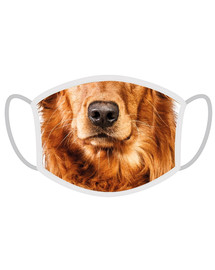 FERA Mascherina protettiva Golden retriever