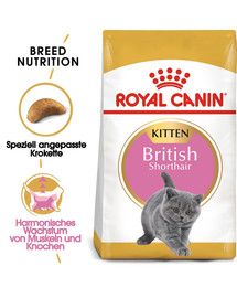 ROYAL CANIN Kitten British Shorthair 2 kg