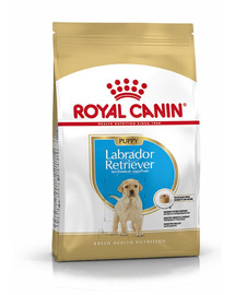 ROYAL CANIN Labrador Retriever Puppy 12 kg