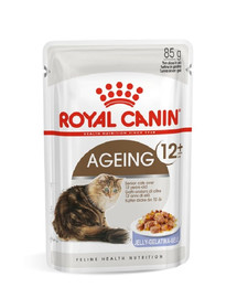 ROYAL CANIN Ageing + 12 Jelly 12x85g