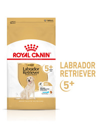 ROYAL CANIN Labrador Retriever Adult 5+ 12 kg